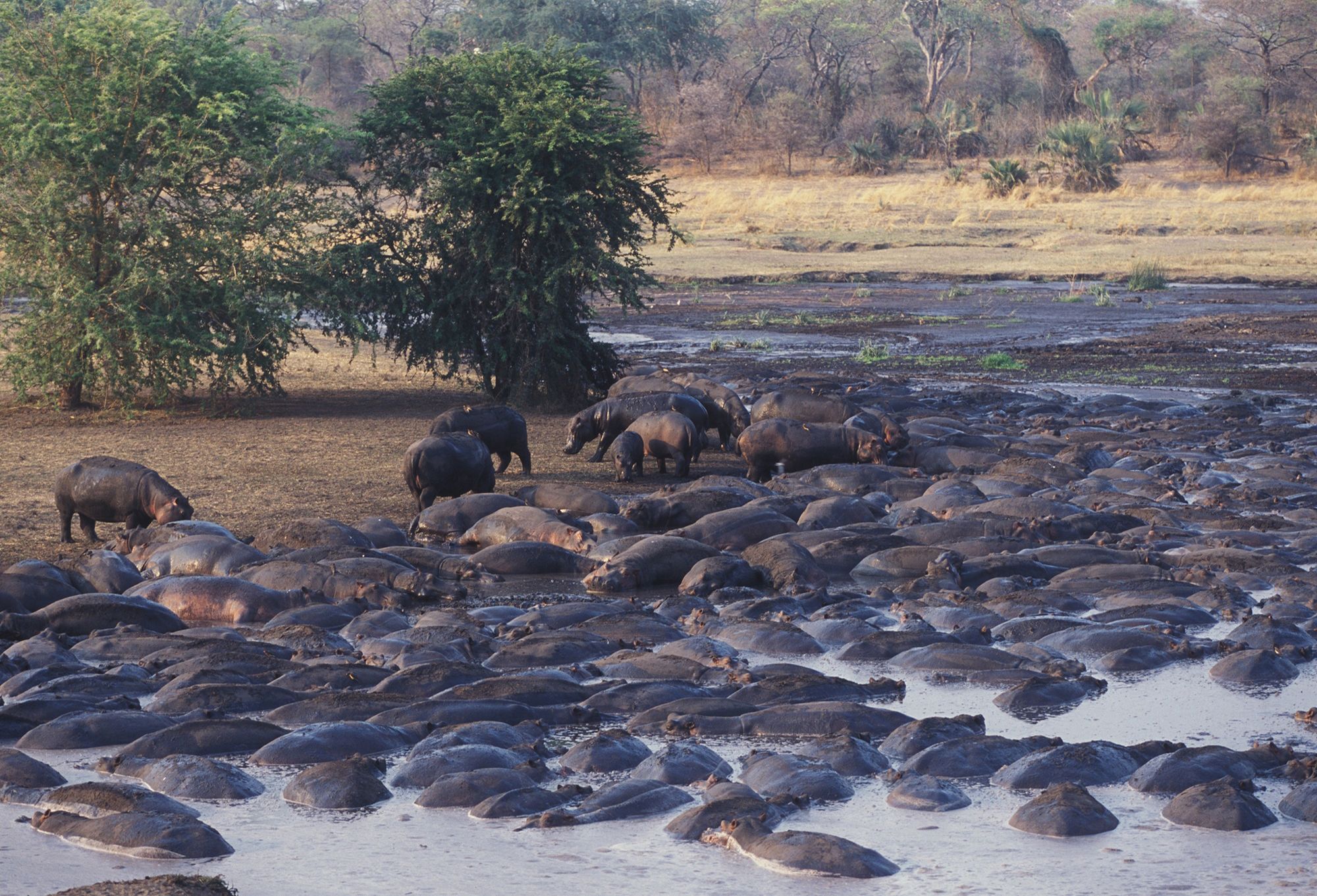 Archer & Gaher Adventures | Safari Holiday | Tanzania | Katavi National Park
